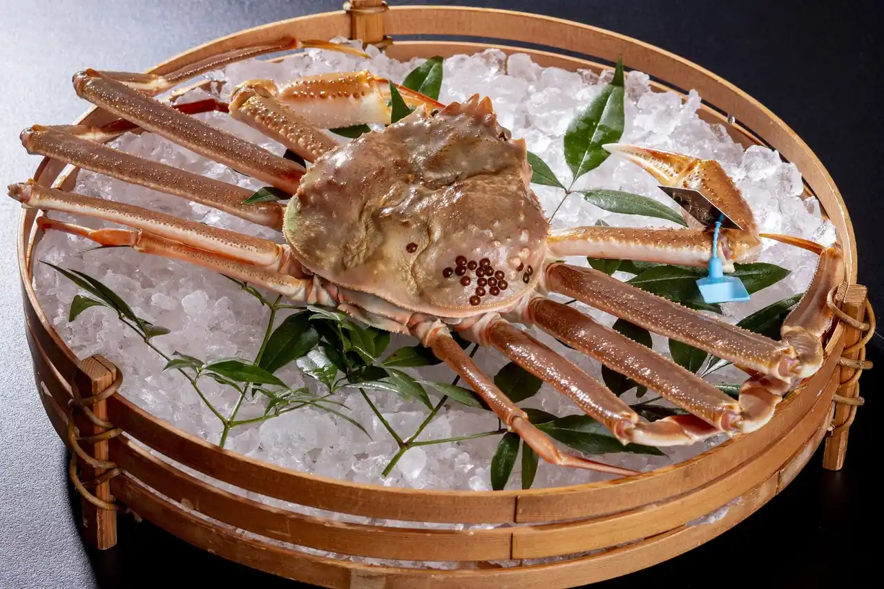 【株式会社 のと楽】 日帰りで楽しめる「活ずわいがに」と里海ランチを開始