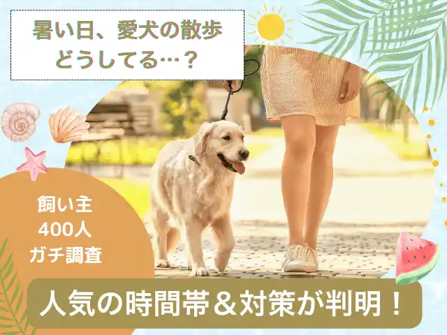 【株式会社エイト】 【飼い主400人に調査】暑い日の愛犬の散歩をどう乗り切る？人気の時間帯は意外にも“あの時間”！
