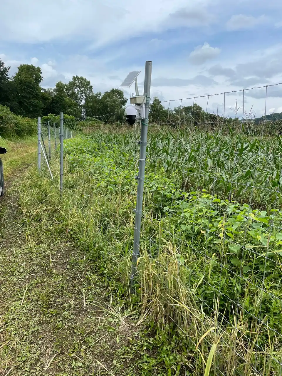 月額3,850円~、10分で導入可能!電源不要なAIカメラでクマ被害を未然に防ぐ自治体向けシステム「クマミるAI」をリリース