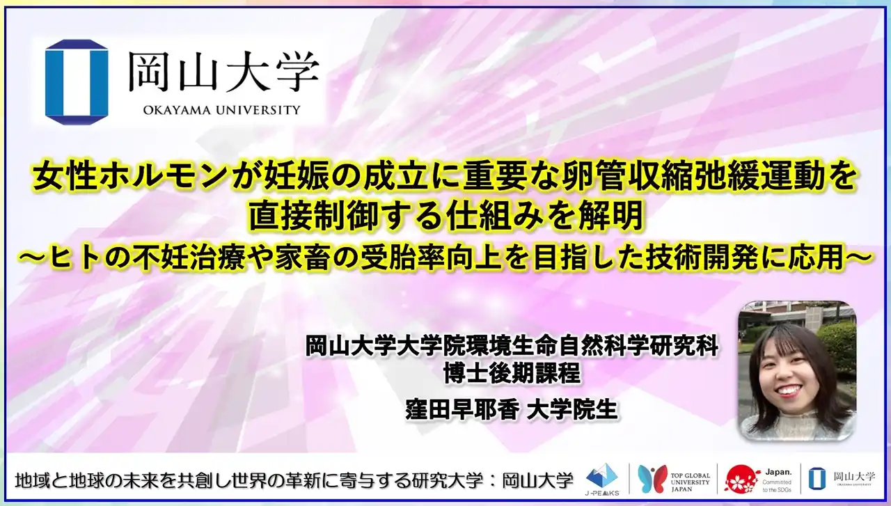 【岡山大学】女性ホルモンが妊娠の成立に重要な卵管収縮弛緩運動を直接制御する仕組みを解明～ヒトの不妊治療や家畜の受胎率向上を目指した技術開発に応用～