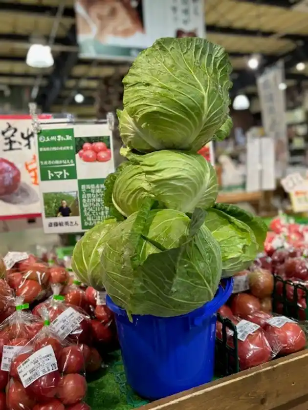 ＼幻と言われる「嬬恋キャベツ419」が登場／地元農家さんのお野菜をお得にゲット群馬県渋川市『上州・村の駅』「むらの夏野菜まつり」8月2日(土)～8月31日(日)まで開催