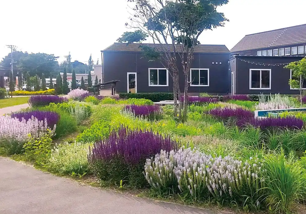 【株式会社バスクリン】 温泉地の未来につながる活性化の挑戦を後押し 「日本の名湯」応援プロジェクト第二弾アクションプラン進捗状況のお知らせ