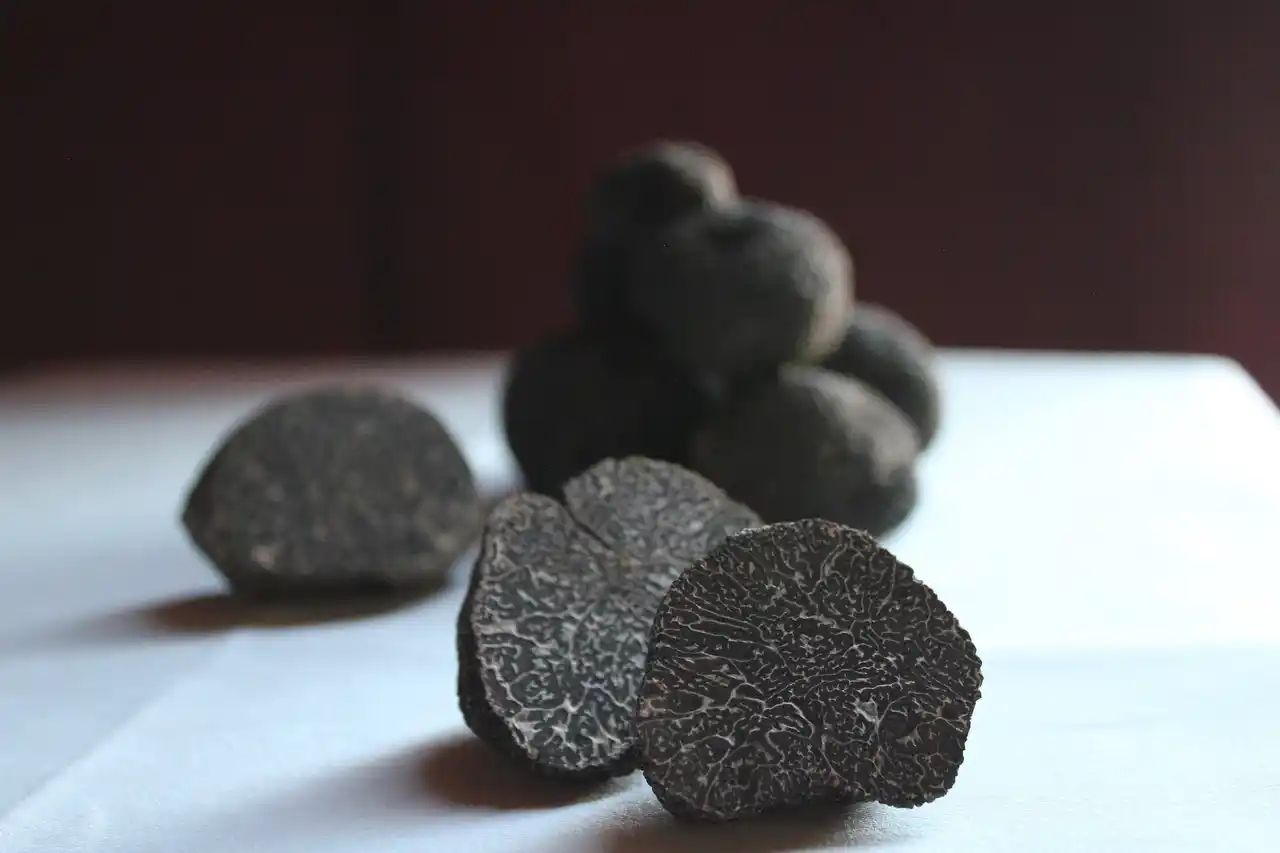 【株式会社ひらまつ】 冬を彩る「黒トリュフガラディナー」を全国のひらまつレストランで開催。シェフ達のコラボレーションや老舗酒蔵の日本酒ペアリングを愉しむ特別なイベントも。