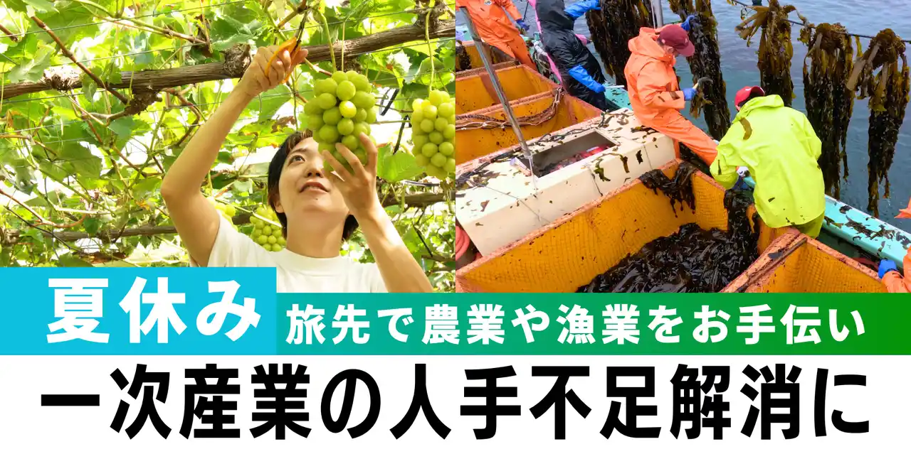 【夏休み】生産者として働いて"お得”に旅行｜農業・漁業の人手不足解消にも「おてつたび」