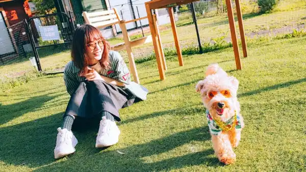 【大和ハウス工業株式会社】 「茂原市民間提案制度」採択案件の事業化に向けて千葉県茂原市と株式会社コスモスイニシアがアウトドアドッグリゾート事業に関する契約を締結(ニュースリリース)