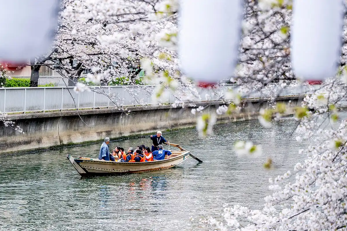 水辺の桜に大接近　【取材用の臨時便運行】　第22回 お江戸深川さくらまつり　和船、動力船、カヌーで味わう江戸風情 3月20日(金・祝)より「水上花見」開催