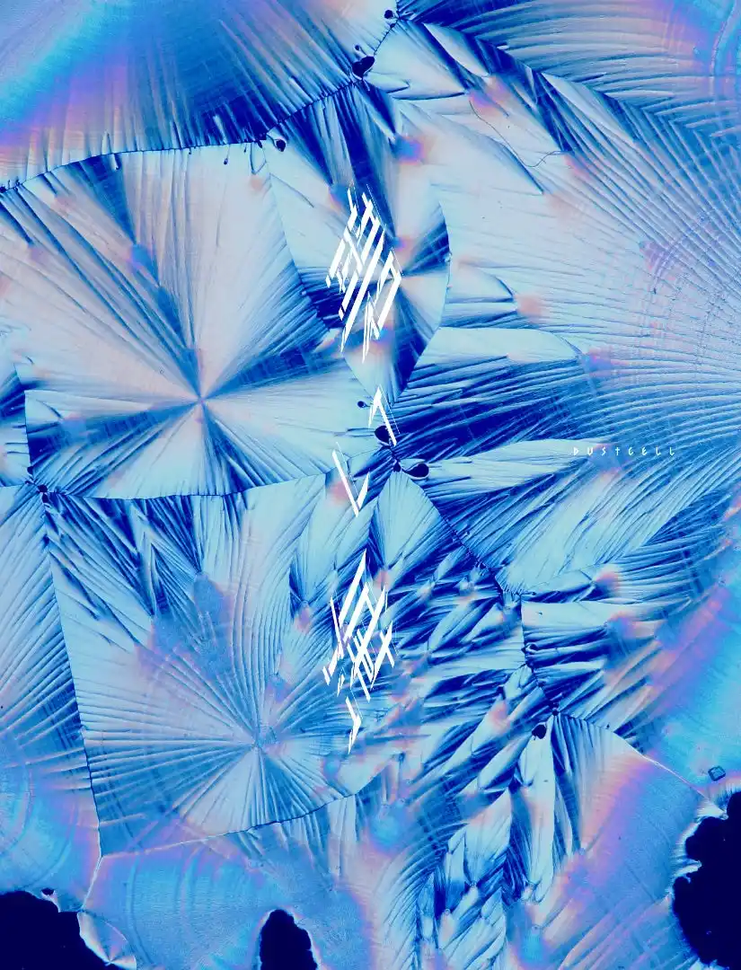 DUSTCELL、4th Album「碧い海」本日12月10日(水)リリース！ リード曲「青」のMVも公開