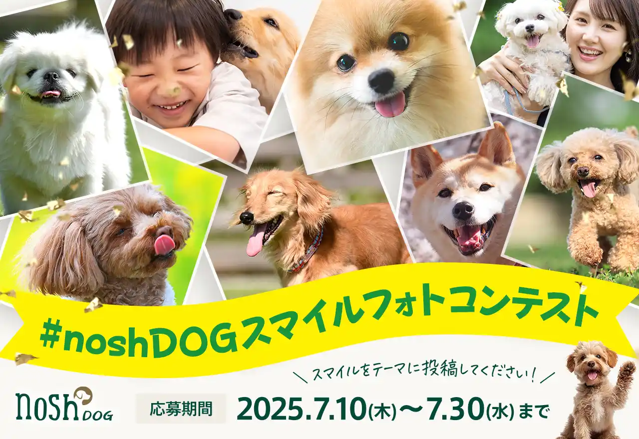 【ナッシュ株式会社】 【nosh DOG】ワンちゃんの笑顔の写真を募集！公式SNSで「スマイルフォトコンテスト」を初開催