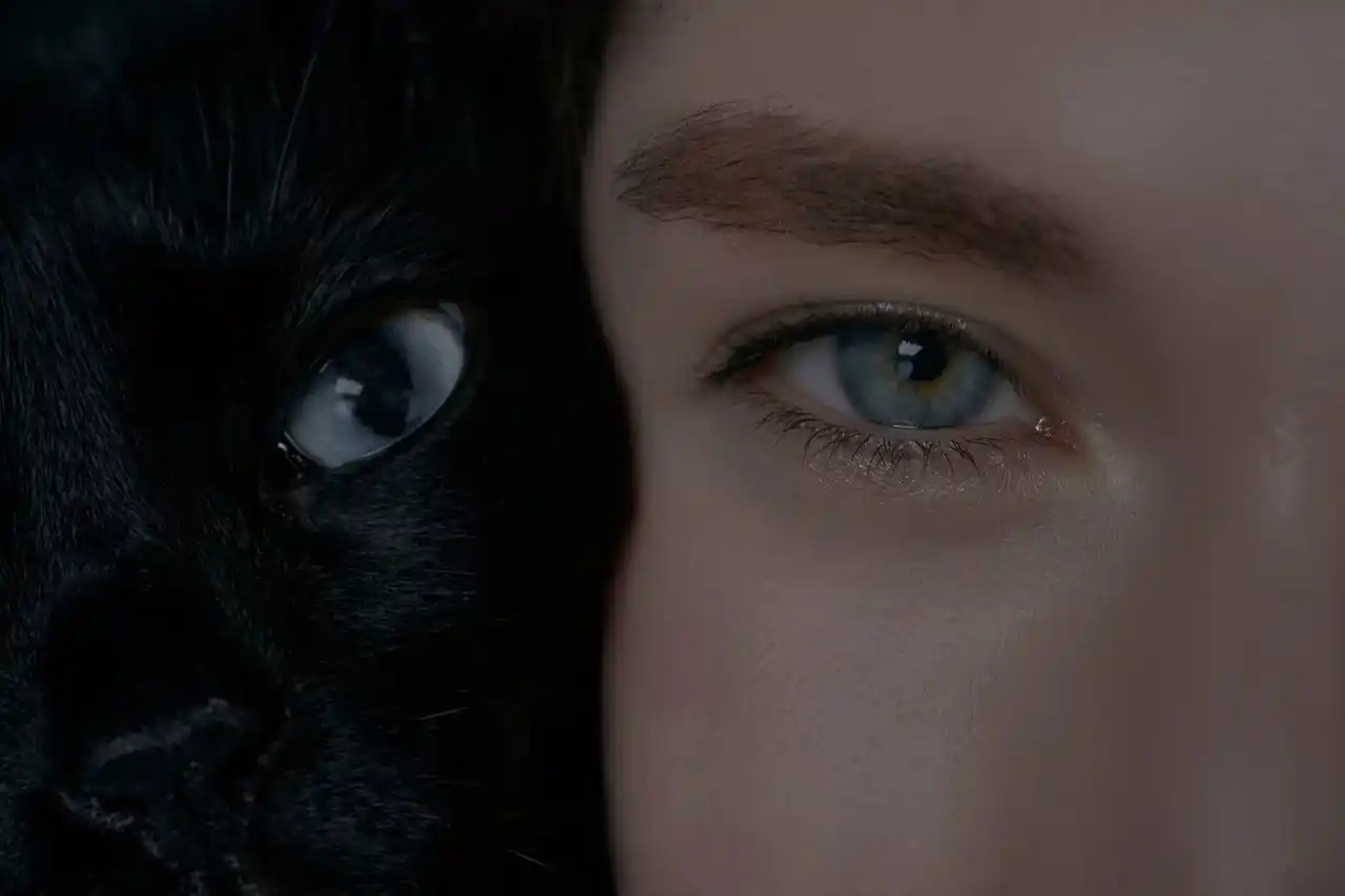 猫と人の新ブランド「Jess. 」が、代官山 蔦屋書店 ART SPARK 2026にて先行リリース