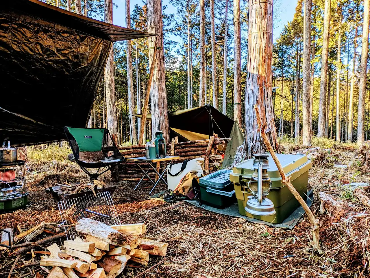 フォレンタ、奈良県に初進出！先祖代々受け継いだヒノキの森を活用した「まほろばキャンプエリア」オープン