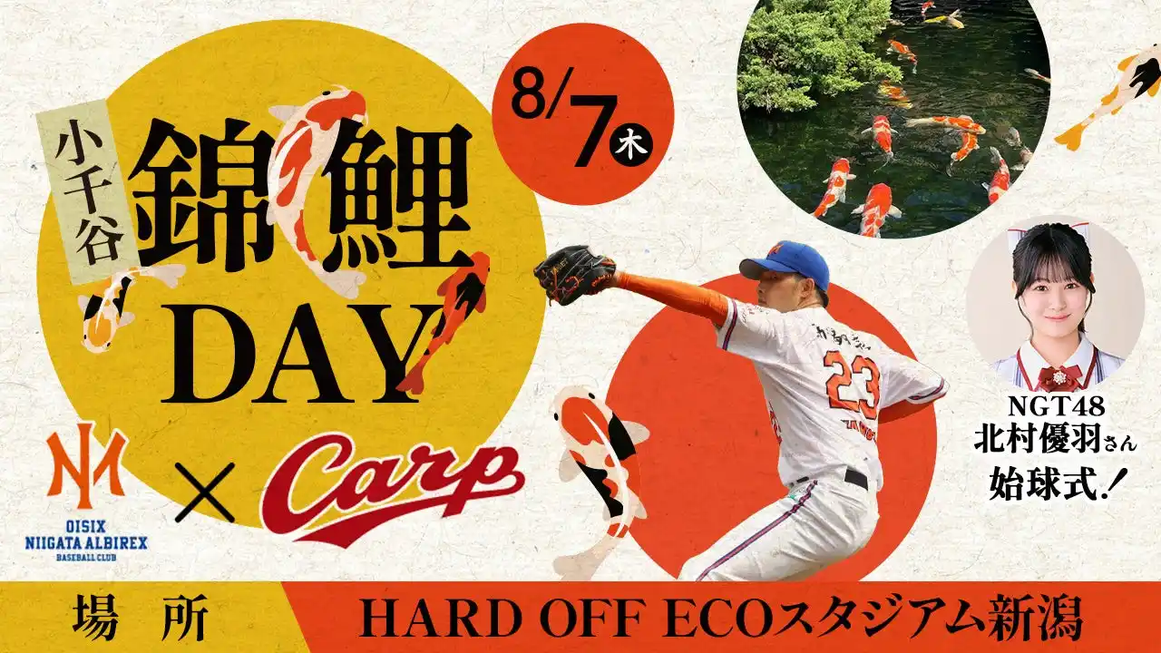 【新潟県小千谷市】オイシックス新潟アルビレックス・ベースボール・クラブ×広島東洋カープの交流戦に小千谷産錦鯉を初展示