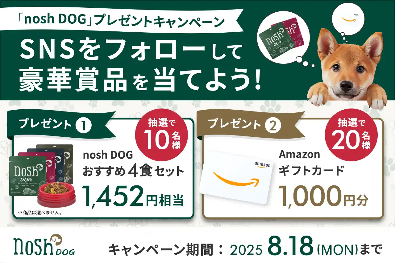【ナッシュ株式会社】 夏のごはんタイムを応援！「nosh DOGおすすめ4食セット」または「Amazonギフトカード1,000円分」が当たるプレゼントキャンペーンを開催