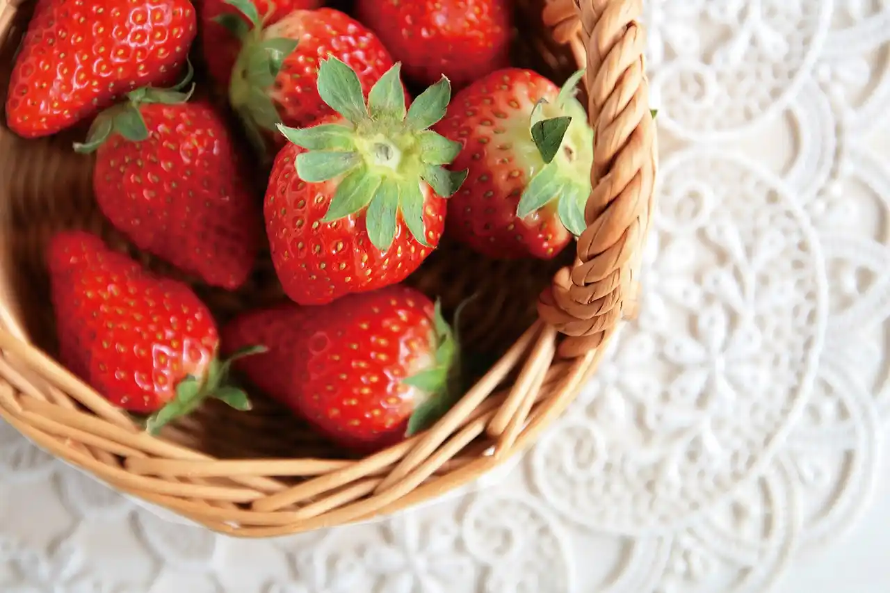 「京成電鉄で行く いちご狩り」開催