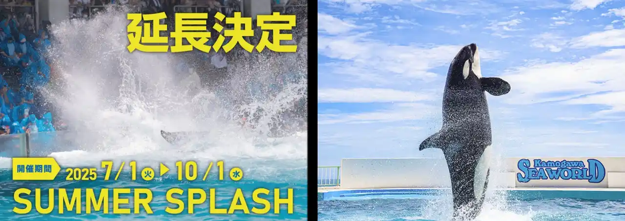 【グランビスタ ホテル＆リゾート】 【鴨川シーワールド】続く夏を楽しもう!!シャチの「サマースプラッシュ」延長決定!!!