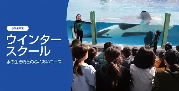 【グランビスタ ホテル＆リゾート】 【鴨川シーワールド】第12回「ウインタースクール」開催