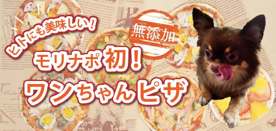 モリナポ初！愛犬と一緒に食べられる、ヒトにも美味しい「ワンちゃんピザ」2025年7月15日（火）新発売