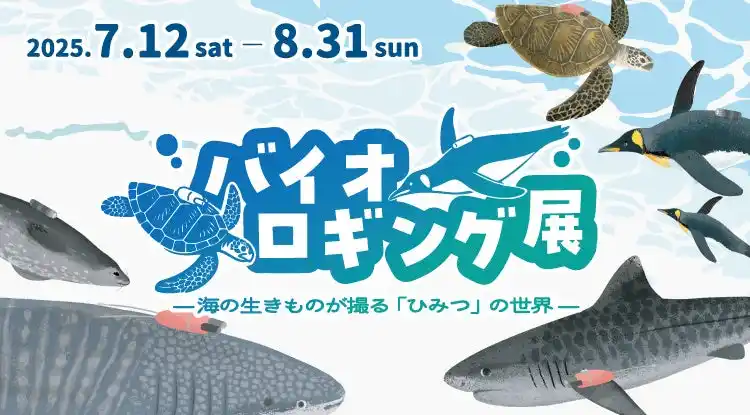 【株式会社四国水族館開発】 生きものたちがみている世界を、ちょっとのぞいてみませんか？『バイオロギング展』四国水族館で開催中