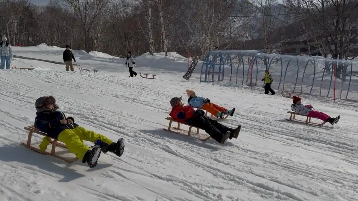 初めてでも勝てる”木ゾリ大会、北海道で熱戦──37名が参加、未来のリュージュ競技へ確かな手応え