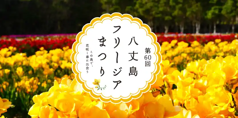 【八丈町】 第60回目の記念すべき開催が決定！がんばろう！八丈島フリージアまつり
