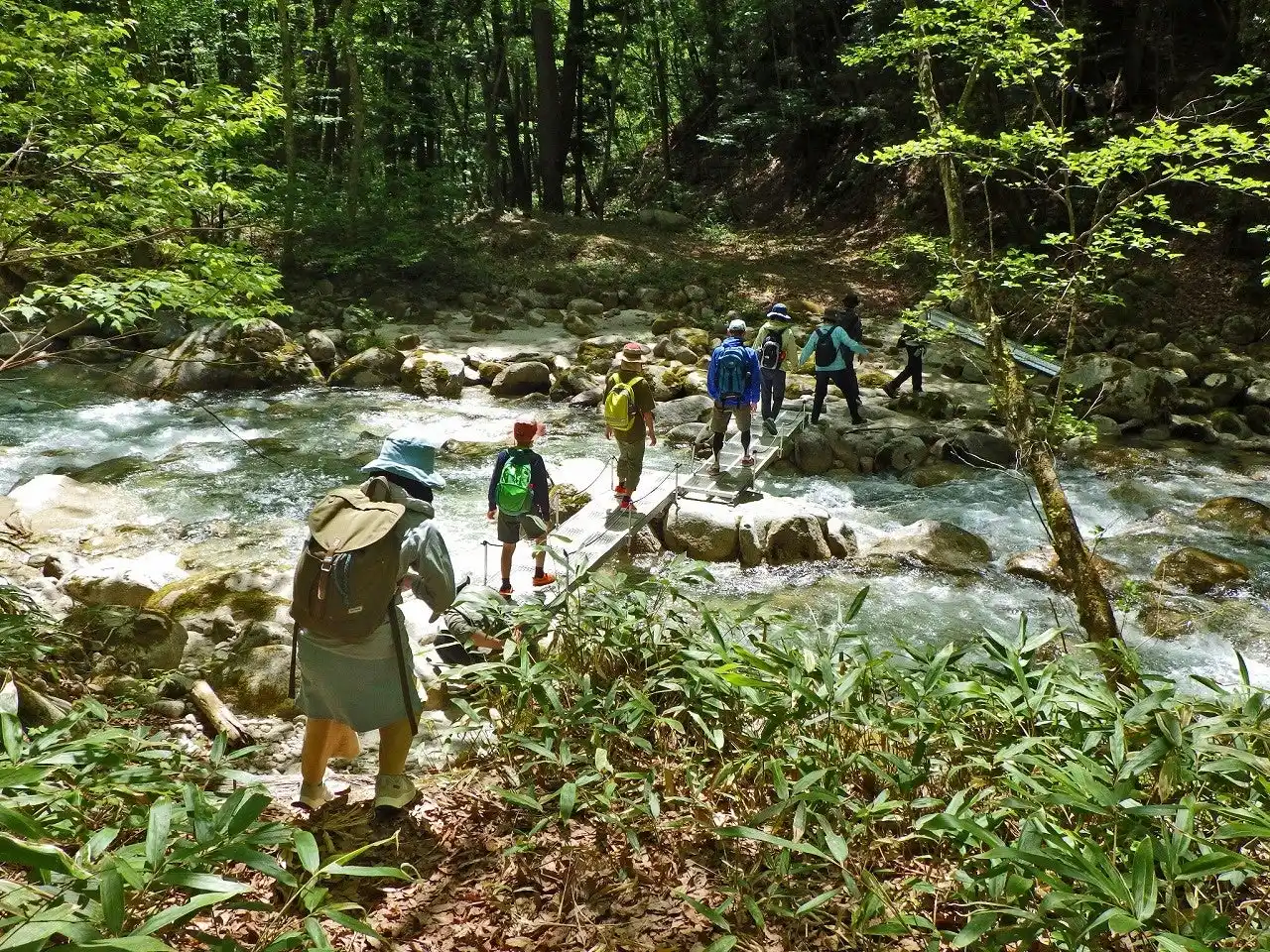 橋を架けて、対岸のエリアへ「河畔探勝ウォーキング」開催｜国営アルプスあづみの公園【大町・松川地区】