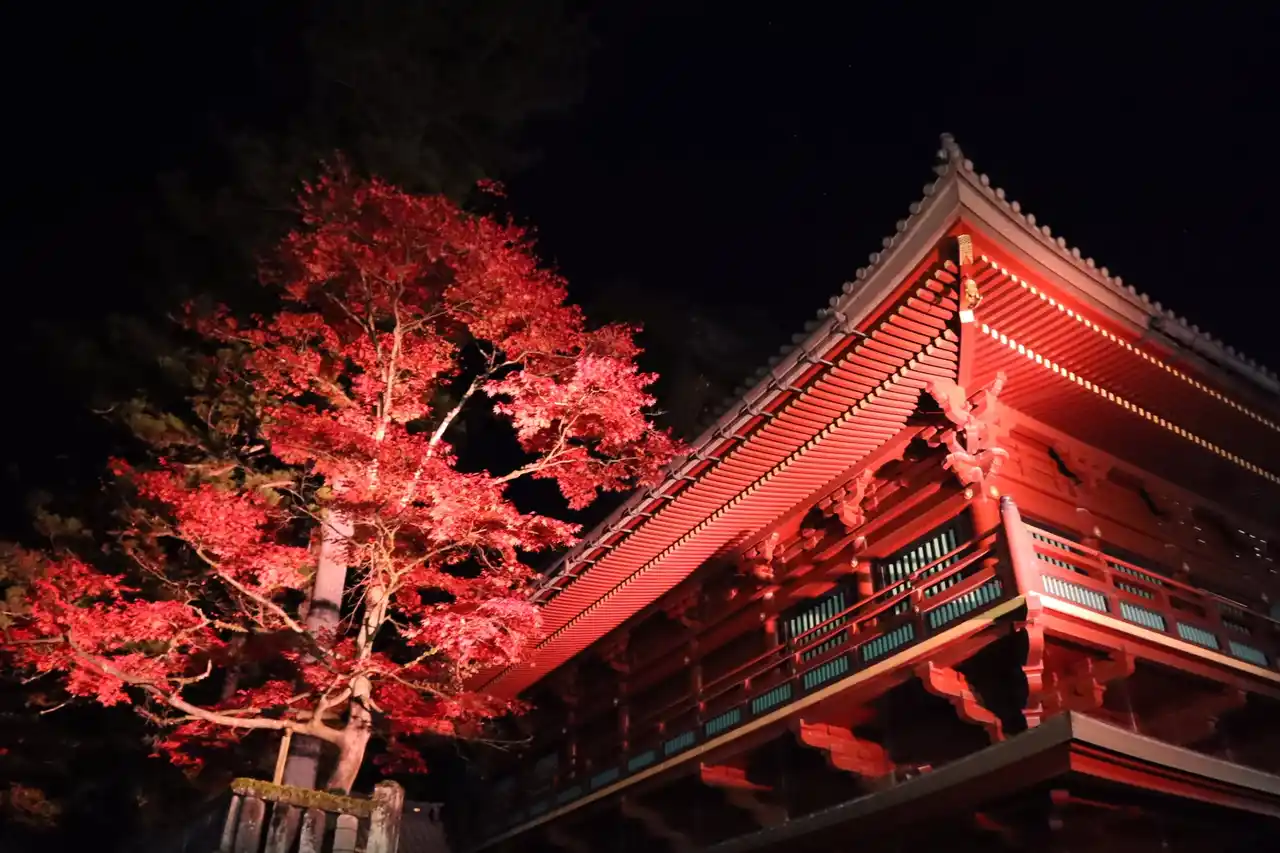 日常を忘れて心と身体を満たす、日光で過ごす贅沢な秋