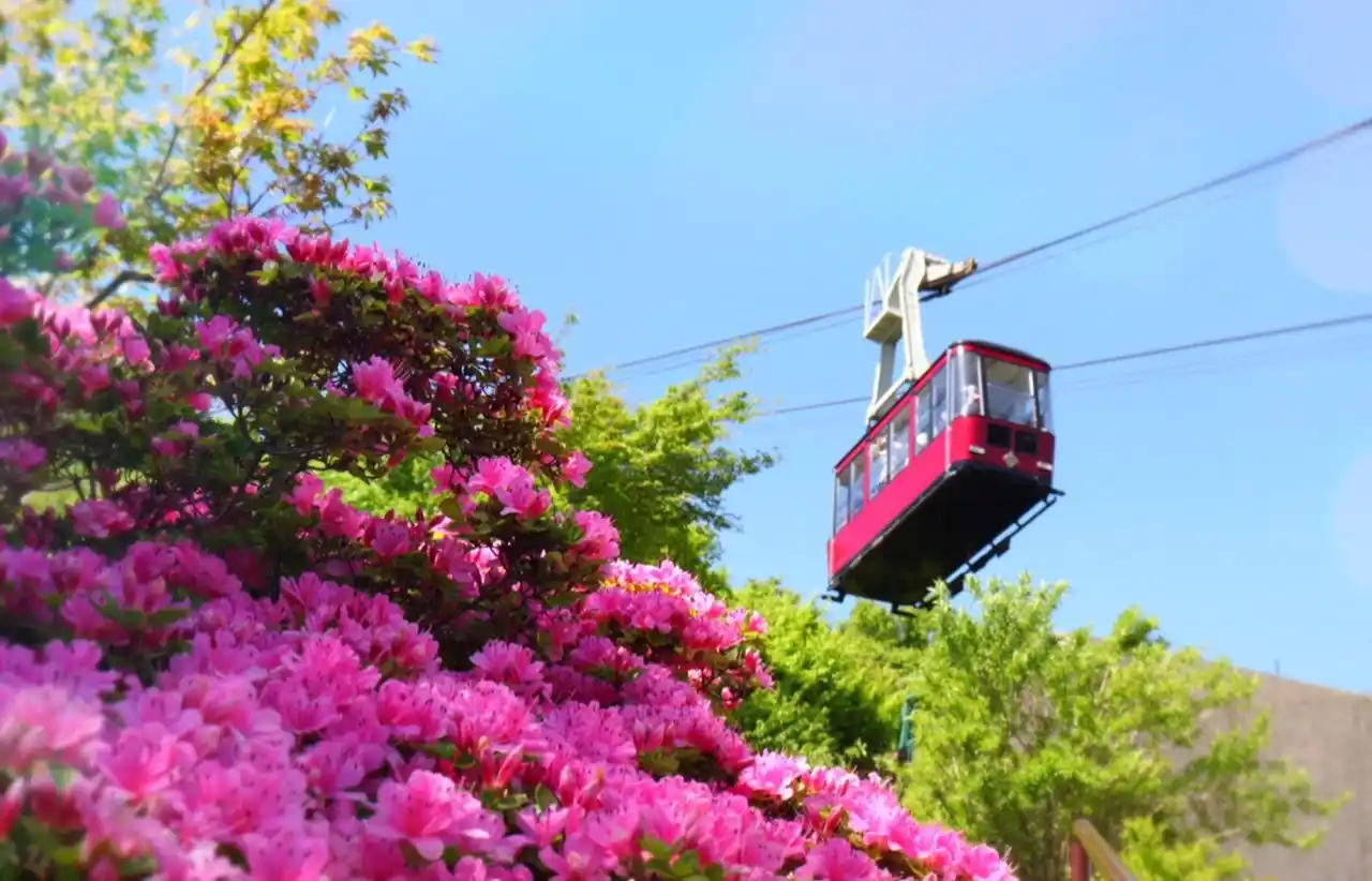 【ミシュラン1キー】長崎・雲仙温泉 旅亭 半水盧　春から初夏を彩る「ミヤマキリシマ」の生命力に満ちた自然美と、心と体を解き放つ至福の滞在を
