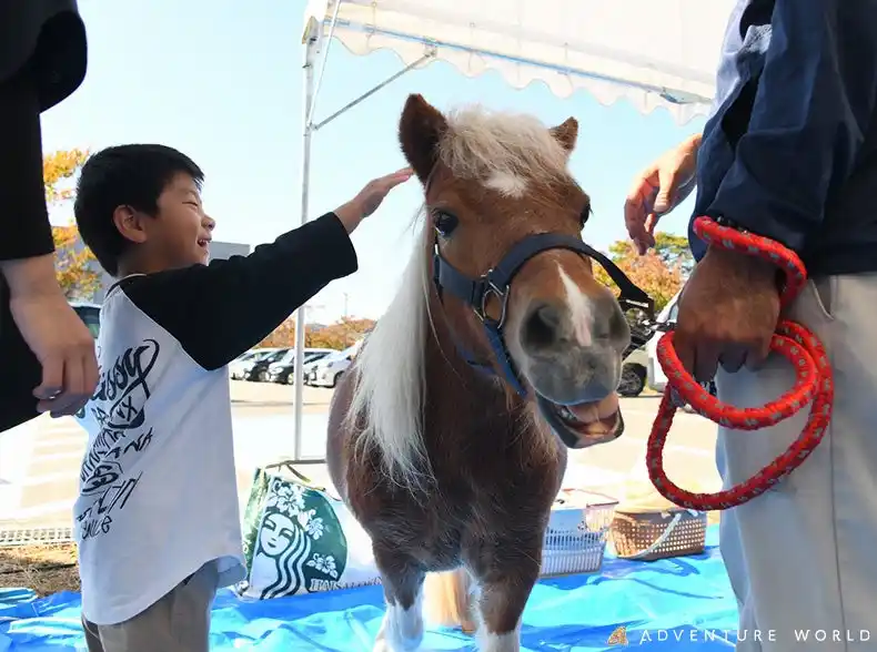 【アドベンチャーワールド】 “ありがとう”からはじまる、人と動物の未来へ 和歌山県馬事畜産振興協議会・公益社団法人和歌山県獣医師会主催 「2025動物感謝デーinわかやま」に協賛およびブース出展します