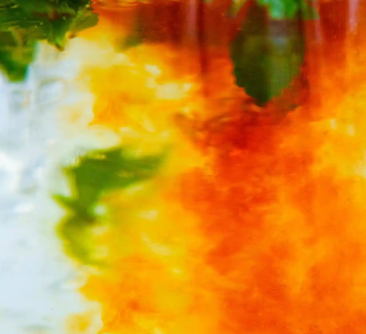 【SHIRO】LIMITED FRAGRANCE 和紅茶