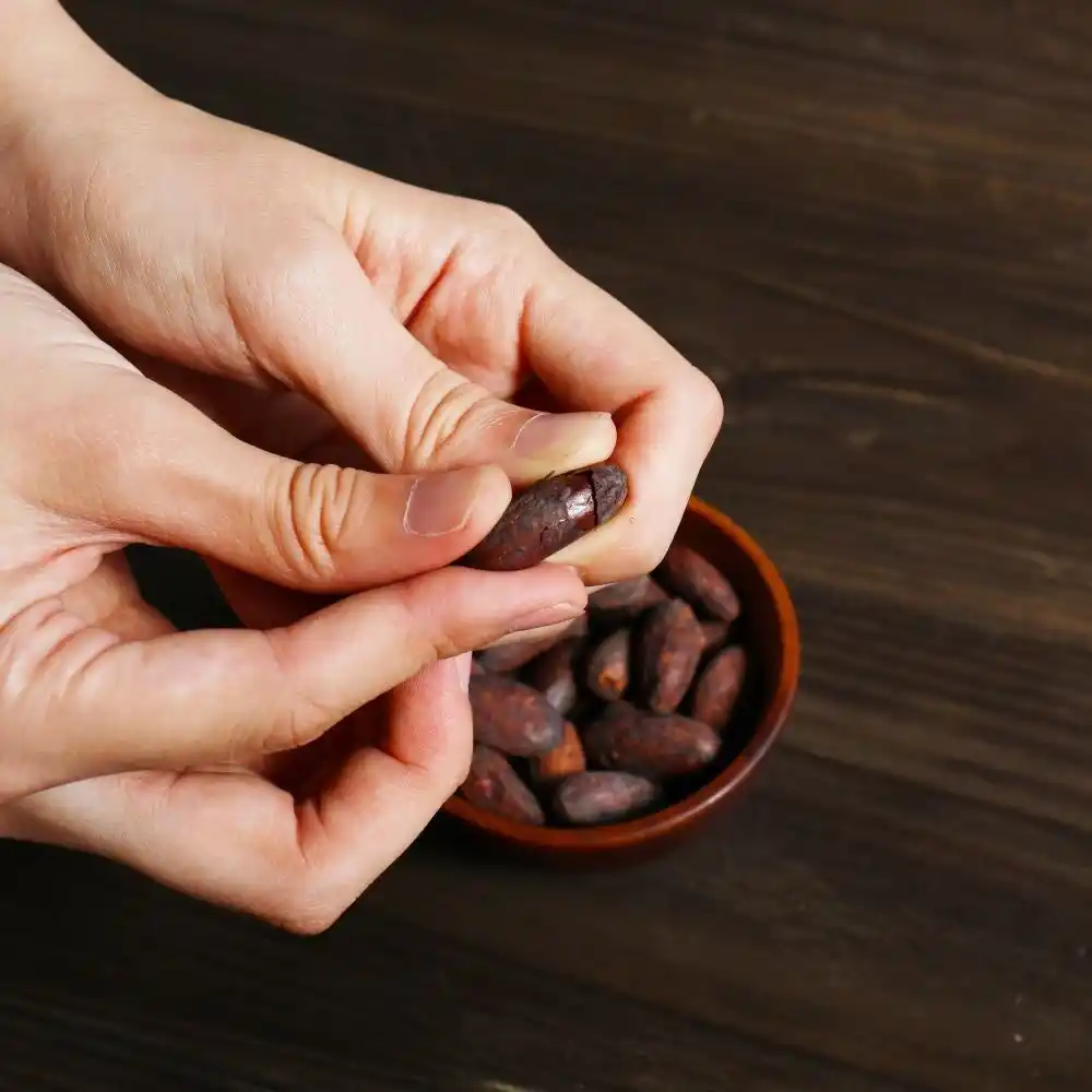 磯子区主催「いそごこどもエコフェスタ」にて横浜発のクラフトチョコレート専門店VANILLABEANSが子ども向けワークショップを3月20日(金・祝)開催