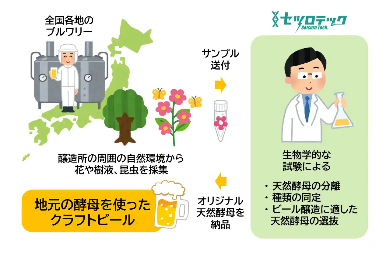 【株式会社セツロテック】 醸（かも）すやつらが変わるかも！ 自然環境からの「ビール酵母スクリーニングサービス」を新発売