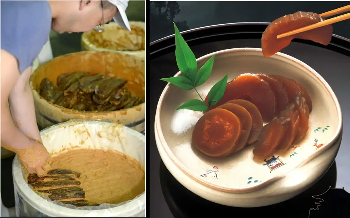 【奈良屋本店】 奈良漬は発酵食品だった