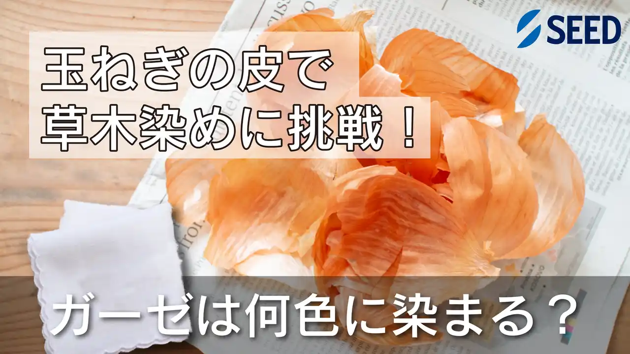 シード社員による子ども向け理科実験教室「草木染めに挑戦してみよう！」7月11日（金）YouTubeにて配信スタート