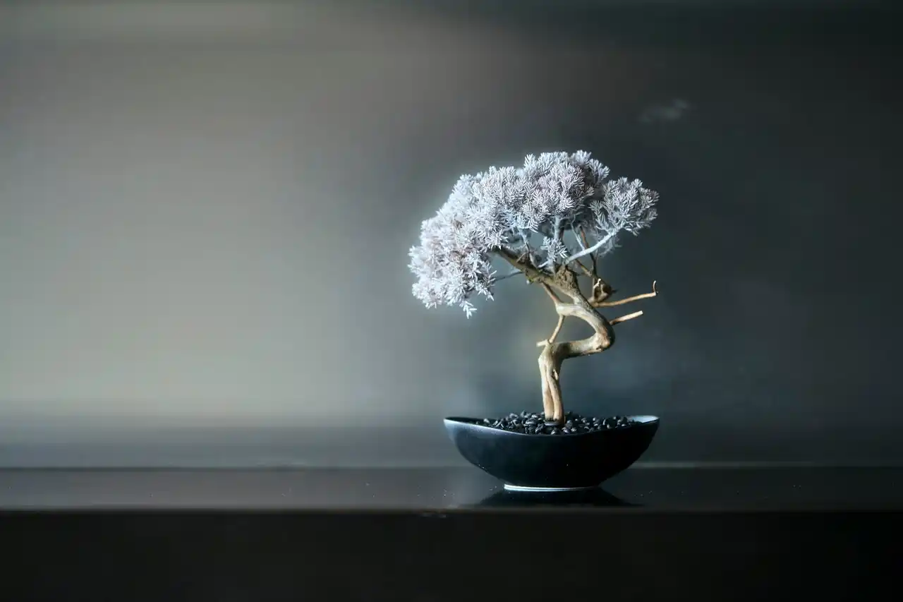 【株式会社芝パークホテル】 パークホテル東京 再生盆栽アート「WITHERS TAIZAN BONSAI」設置のお知らせ