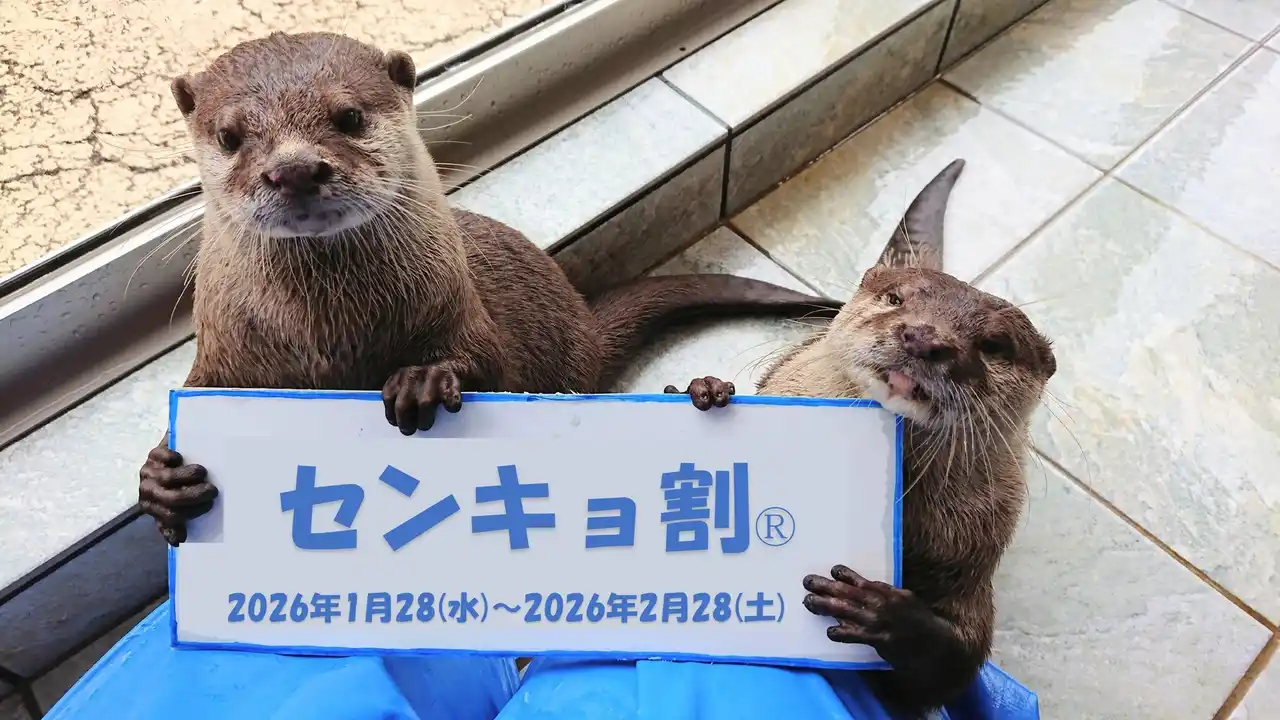 【藤田観光グループリリース】２月８日は衆議院議員総選挙！下田海中水族館センキョ割2026あなたの一票で、おトクに入場できちゃう！