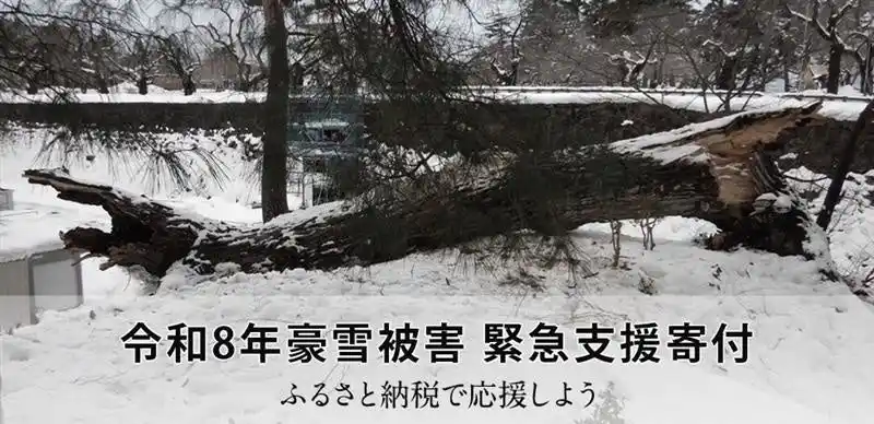 さとふる、「令和8年豪雪被害 緊急支援寄付サイト」で新たに青森県五所川原市、鰺ヶ沢町の寄付受け付けを開始