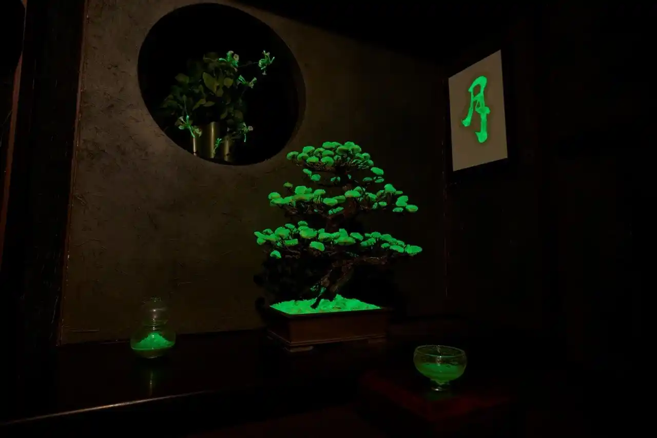 【ミライドア株式会社】 電力を使わずに自ら光る植物を開発 株式会社LEPに投資を実行