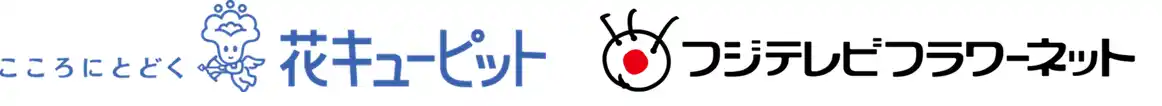 一般社団法人JFTD花キューピット、株式会社dinos「フジテレビフラワーネット」との業務提携