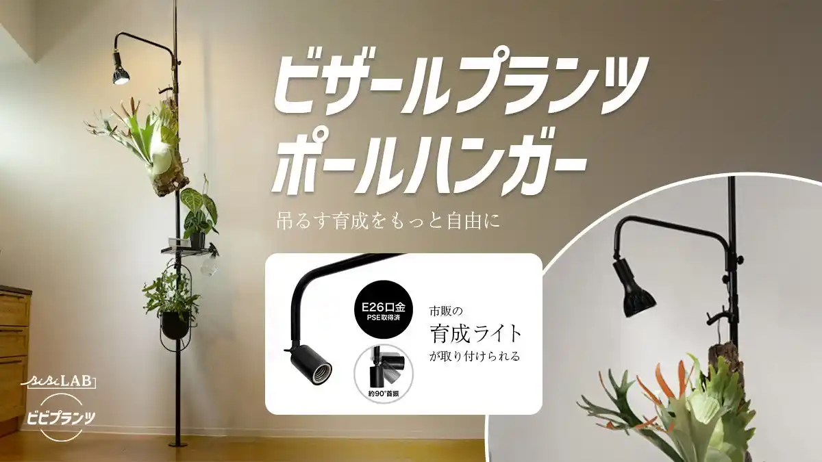 【ビカク初心者向け】つっぱり式の植物ポールハンガーが発売。育成ライトも取り付けられて、お部屋の緑がぐんぐん育つ！