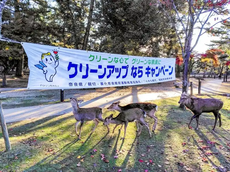 【奈良県】 2025クリーンアップならキャンペーン