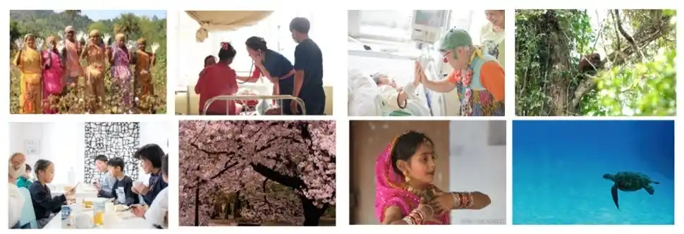 【豊島株式会社】 豊島が展開する、オーガニックコットンの普及活動を通して社会貢献を目指すプロジェクト「ORGABITS(オーガビッツ)」。国内外のNPO・慈善団体への寄付金贈呈について