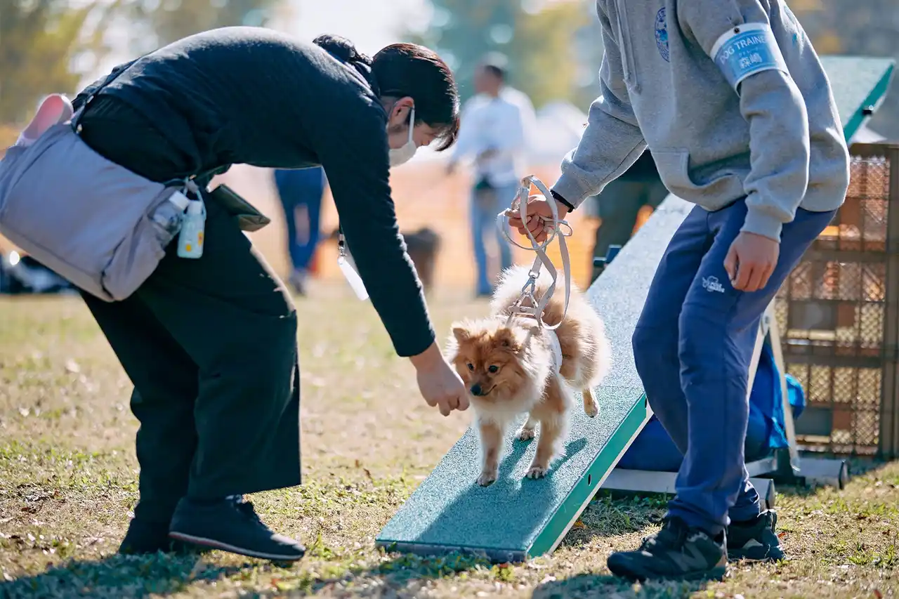 【株式会社フリーステッチ】 【新しい形のペットイベント】犬種別×プロフェッショナル。“うちの子”との毎日がちょっと変わる特別な1日