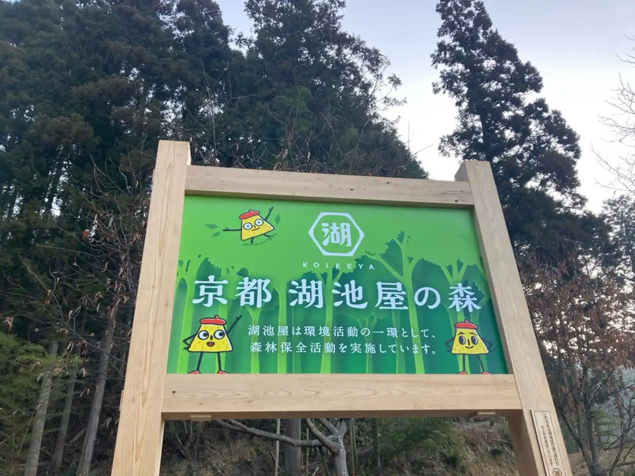 京都・南丹の豊かな自然を育む「京都 湖池屋の森」森林保全活動を本格始動～間伐材でできたオリジナルコースターが当たるキャンペーンも実施～