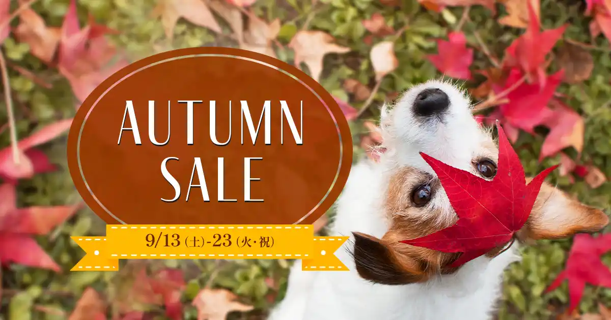 ふかや花園アウトレットで9月の連休にお得な秋物セールと愛犬もワクワクするDOG DAYS