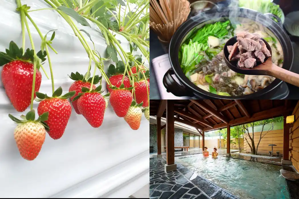 【岡山県】 冬ならではのグルメ、温泉、アクティビティで「岡山県」を堪能！あったかご当地鍋「そずり鍋」、冬の味覚「牡蠣」、冬のフルーツ「晴苺」、西日本有数の温泉地「美作三湯」を紹介