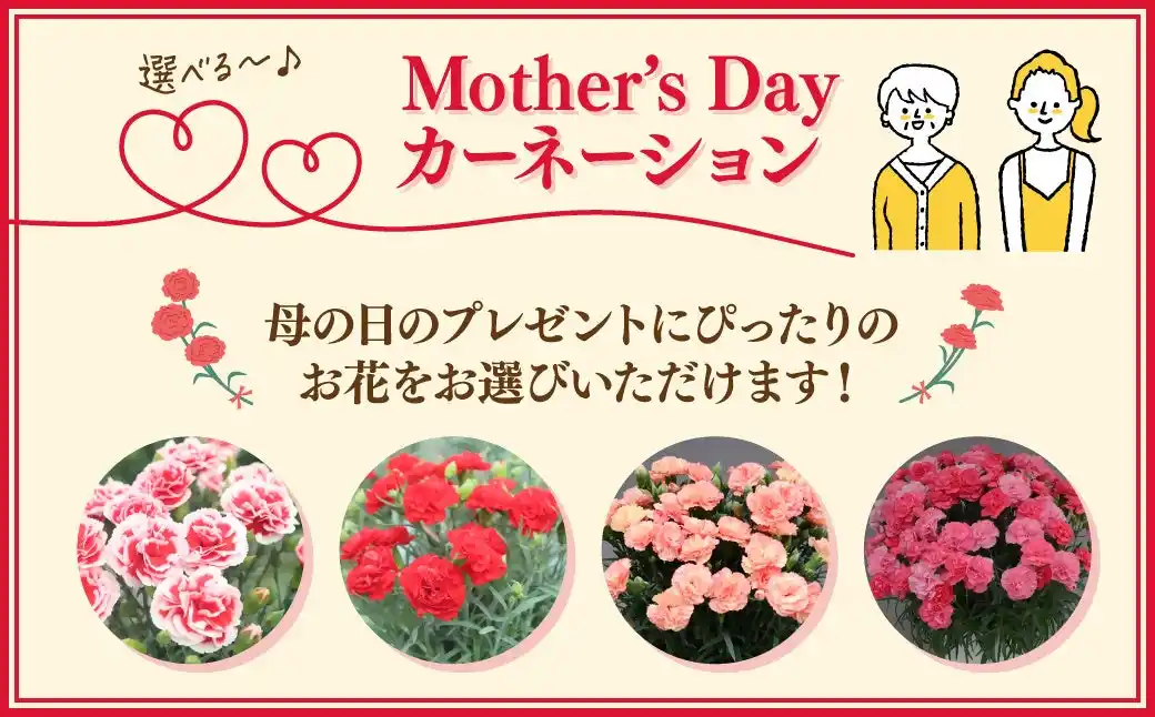 【茨城県常陸太田市】新色登場！母の日カーネーション！