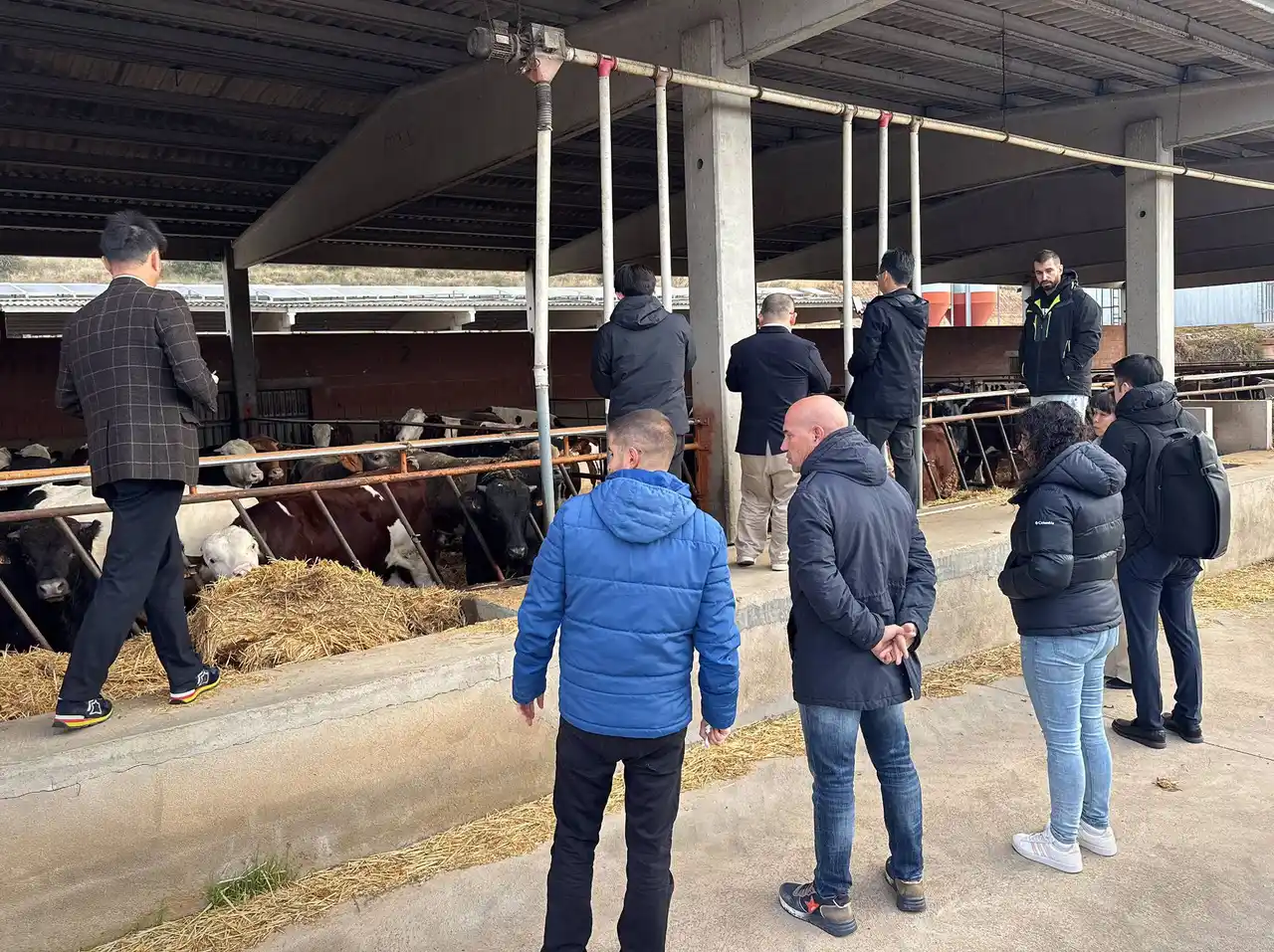 日本の大手食肉輸入企業6社がスペインを訪問。欧州産牛肉の品質・安全性を評価