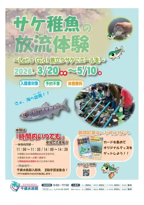 千歳水族館 鮭の稚魚放流体験