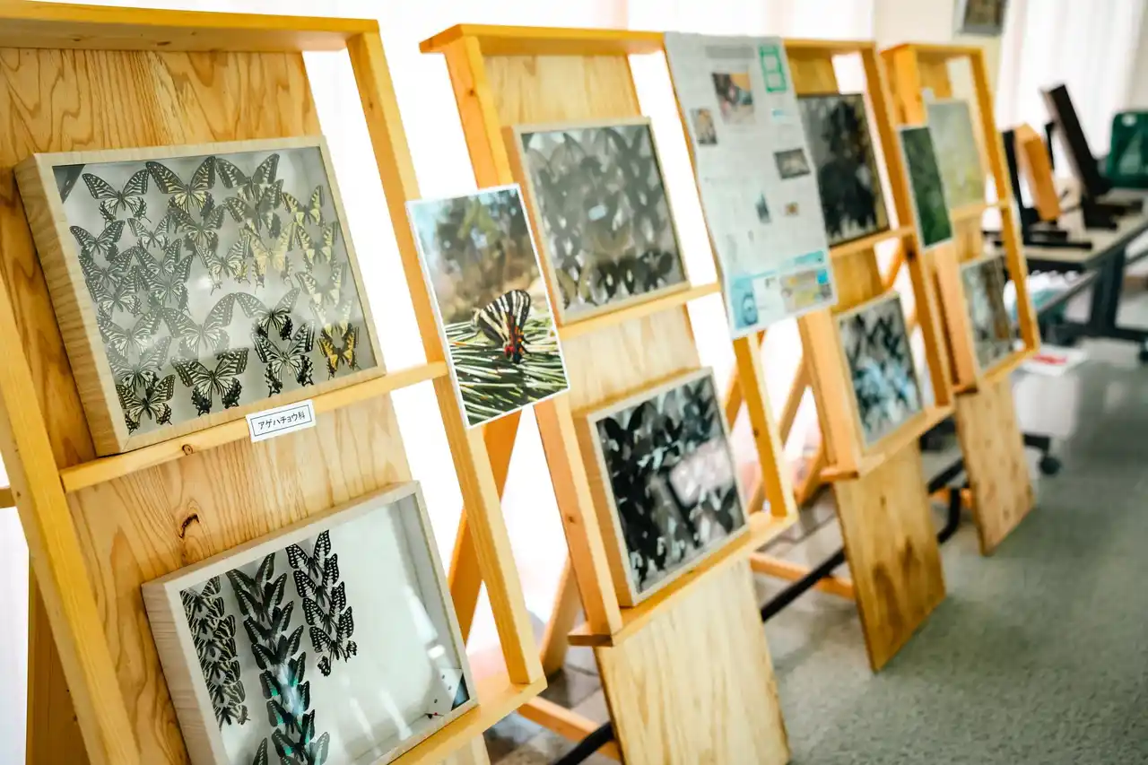 子どもたちの自然への探究心を育む蝶の個展「むし展～かわひらこ～」開催レポート。和歌山県最大規模の蝶展に予想上回る約1,000人が来場！