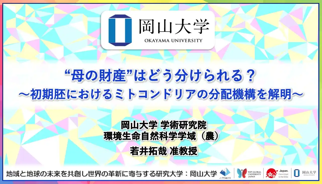 【岡山大学】“母の財産”はどう分けられる？～初期胚におけるミトコンドリアの分配機構を解明～