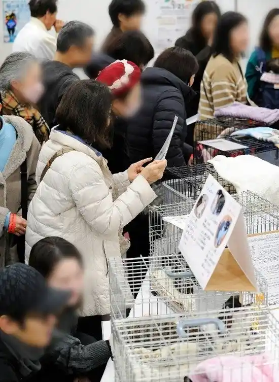 【ロイヤルカナン ジャポン合同会社】 【名古屋市】 全国初の官・民・ボランティアが共創した保護犬・保護猫の大型譲渡会「わんにゃん出逢いフェス」を実施